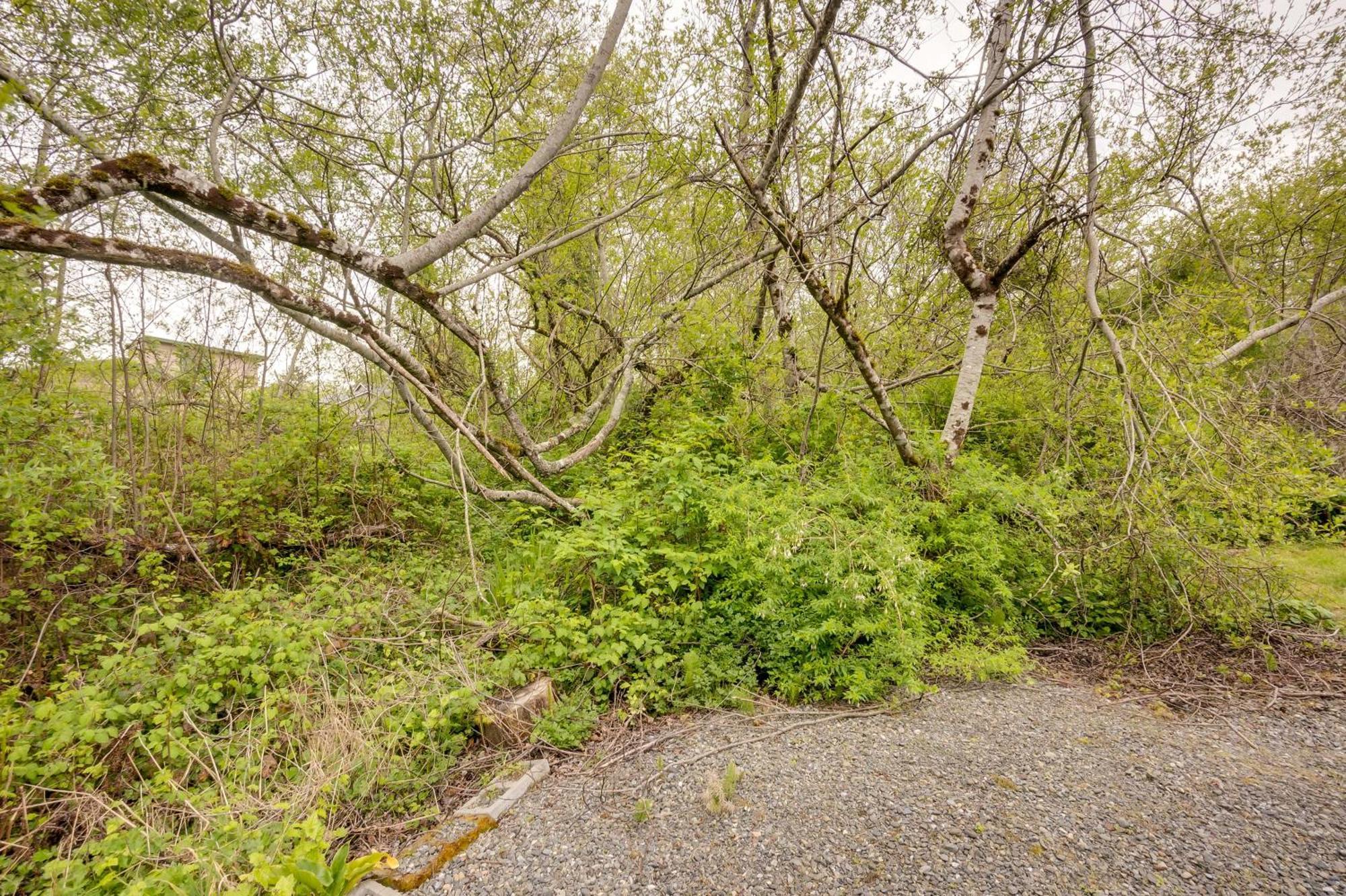 Soothing Studio With Lush Views 2 Mi To Beach! Smith River Eksteriør bilde